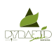 Pyramid Seeds