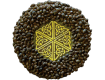 Mandala Seeds
