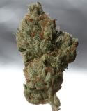 Cold Creek Kush