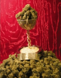 MK-Ultra