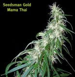 Mama Thai