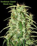 Skunk Haze