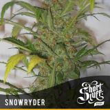 Snowryder